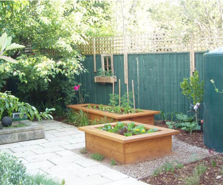 raised vegetable garden beds by Yummy Gardens Melbourne