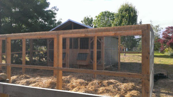 Secure chicken run and home by Yummy Gardens Melbourne