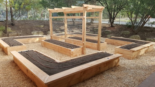 veggie garden at kindergarten designed & built by Yummy Gardens Melbourne